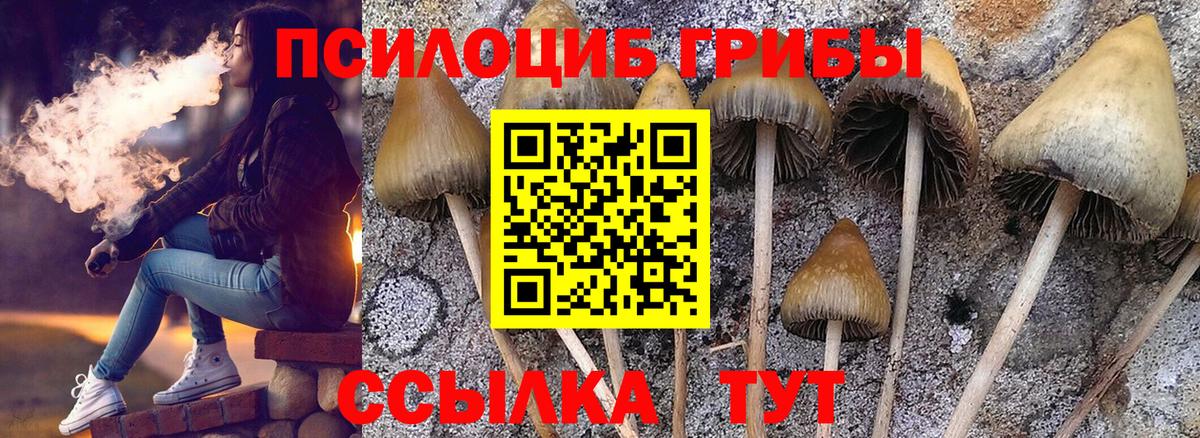 Ульяновск  Псилоцибиновые грибы ЛСД  Галлюциногенные грибы MAGIC MUSHROOMS  Вход с VPN 