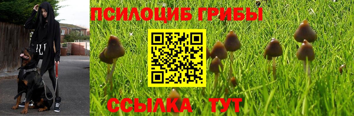 Галлюциногенные грибы MAGIC MUSHROOMS Ульяновск